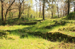 Golaseccan settlement Parco Spina Verde, Como.