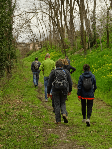 Mobilita Dolce Iubilantes initiative ex-ferrovia Como Varese