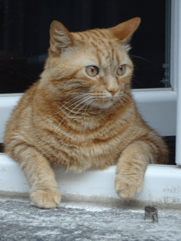 Taking time to stop and stare