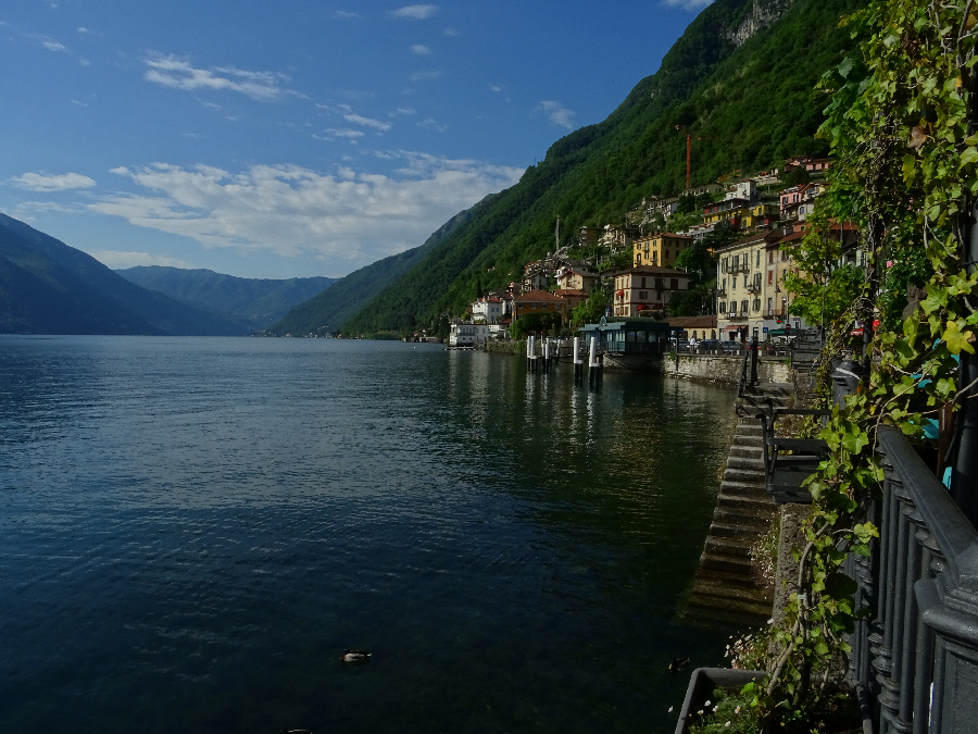 Argegno