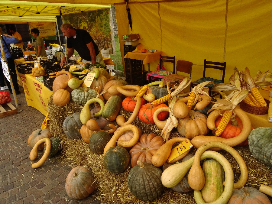 Fiera Sant Abbondio - Pumpkins