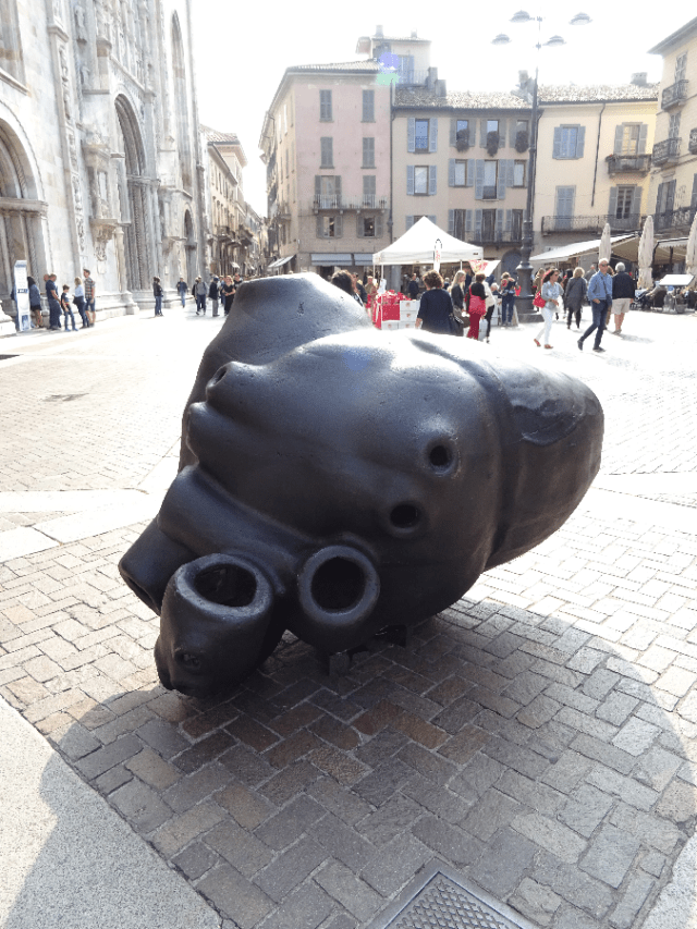 Cardiaco by Paolo Grassino