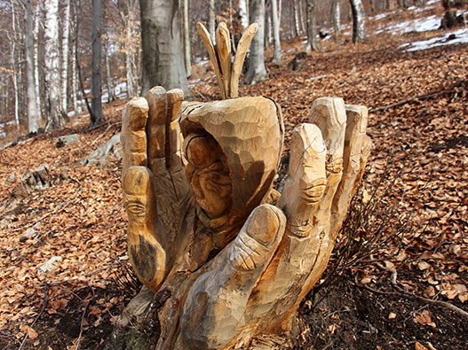 sentiero delle espressioni