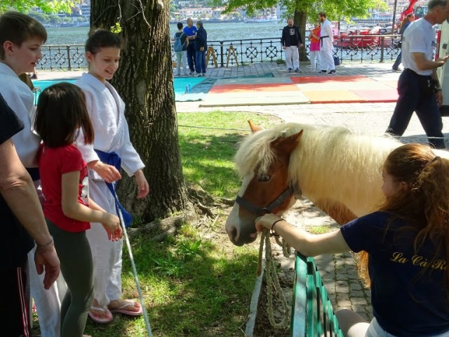 Red House Horses