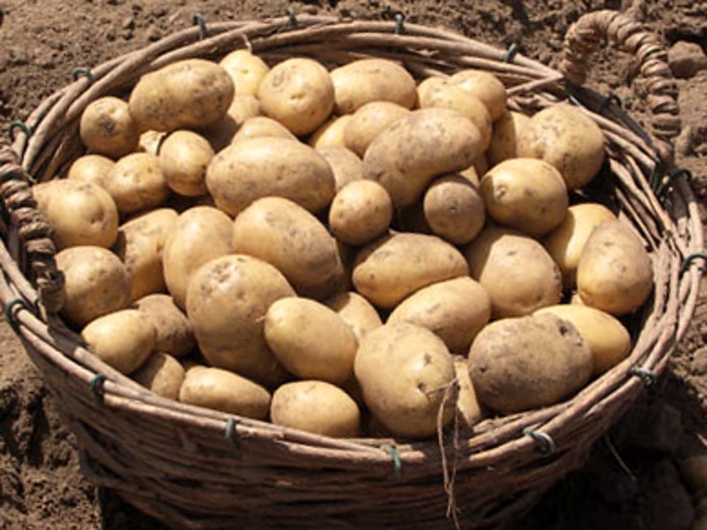 Potatoes
