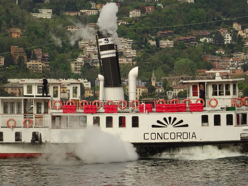 Concordia