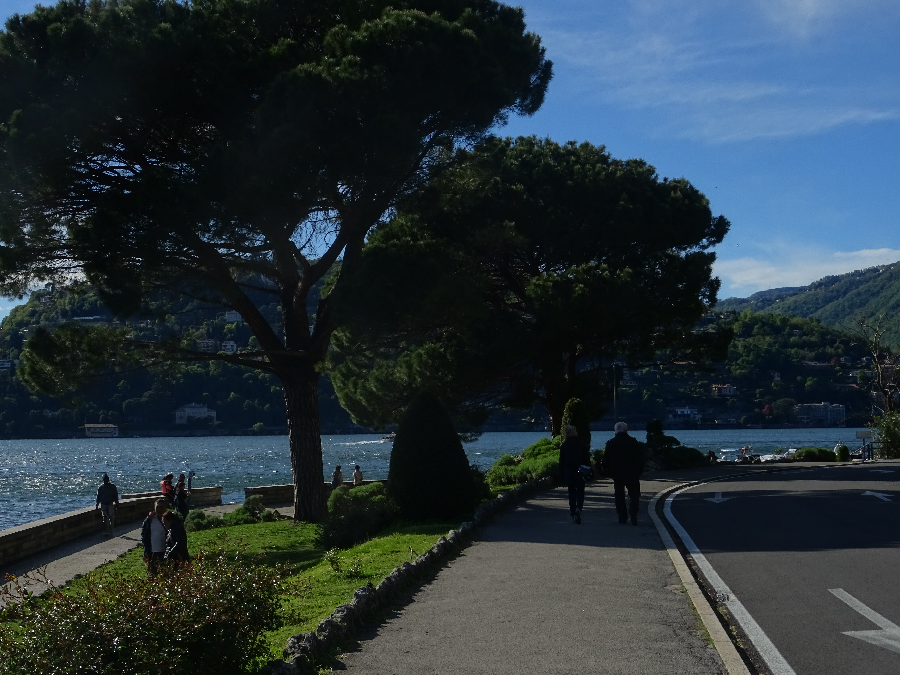 Viale Geno