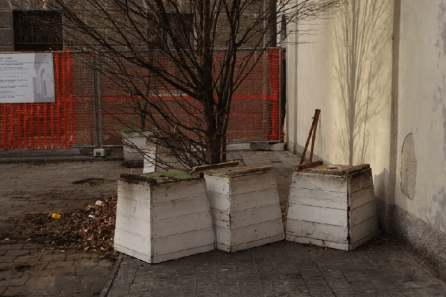 Pane e Tulipani Terrace