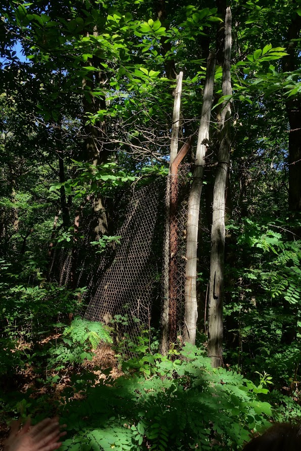 swiss border parco spina verde