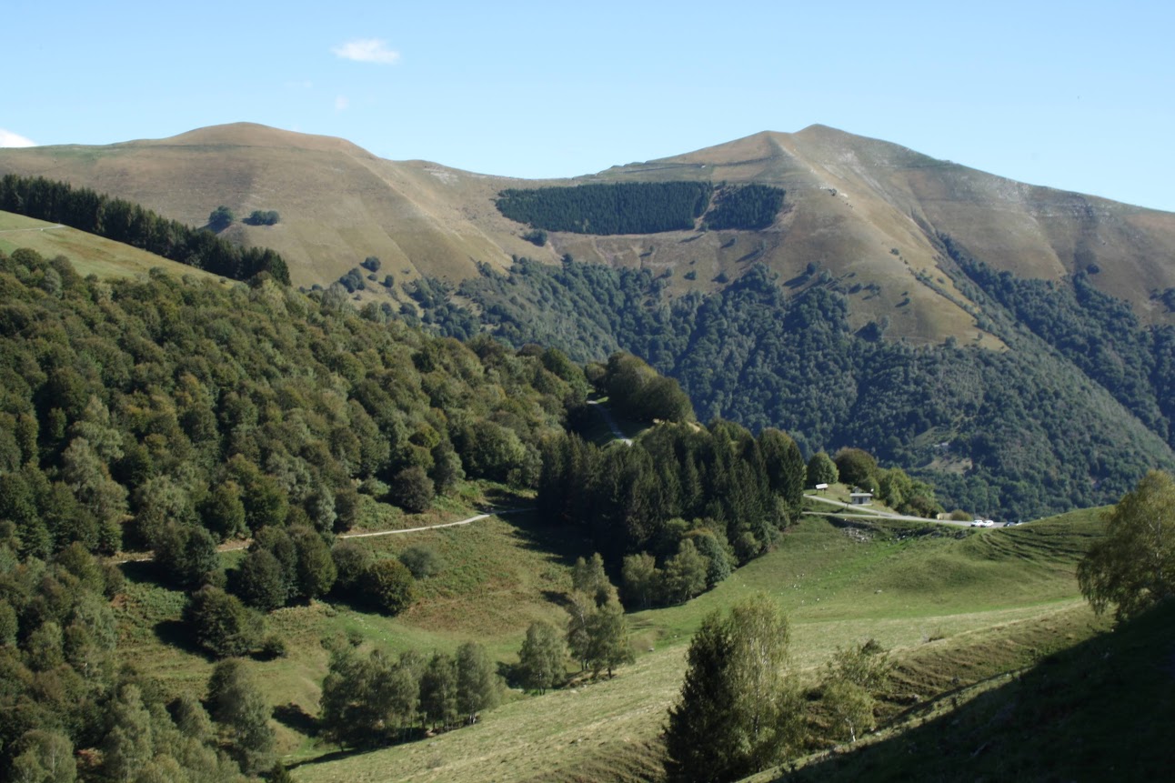 Looking to Boffalora