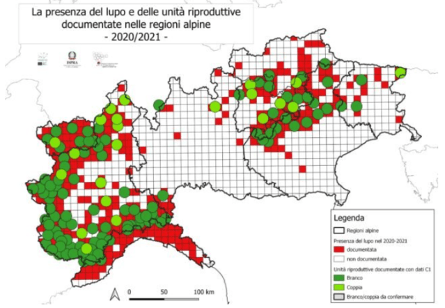 Wolf distribution North Italy